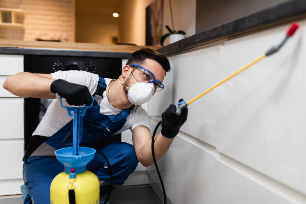 Best Pest Prevention Services  in Rio Grande City, TX