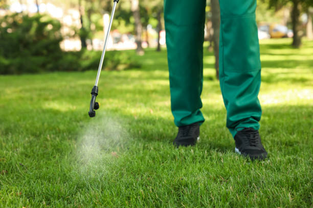 Best Pest Inspection Near Me  in Rio Grande City, TX