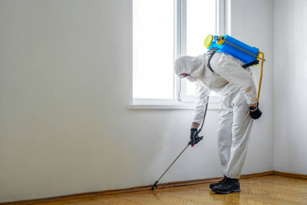 Best Mosquito Control Services  in Rio Grande City, TX