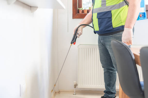 Professional Pest Control in Rio Grande City, TX
