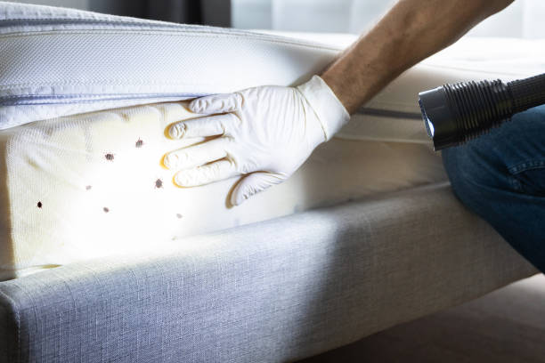 Rio Grande City, TX Pest Control Company