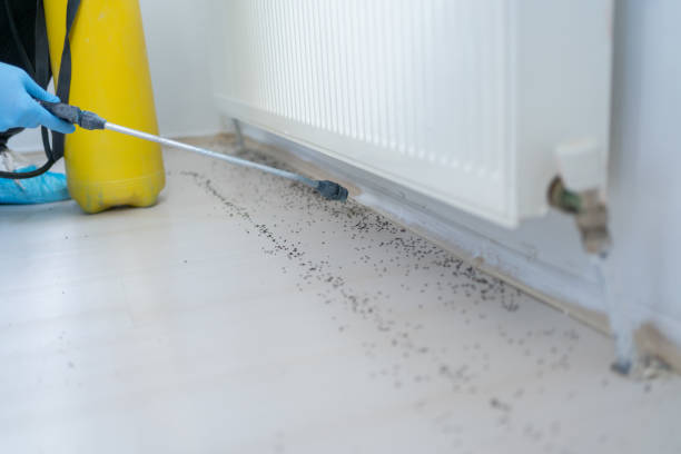 Pest Control Cost in Rio Grande City, TX
